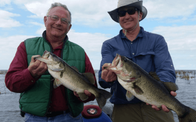 South East Lake Okeechobee Belle Glade Largemouth Bass Fishing