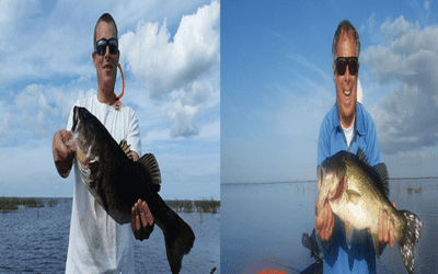 Shiner Frenzy Largemouth Bass Fishing Lake Okeechobee