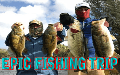 Largemouth & Peacock Bass Fishing Golden Gate Canals