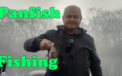 Catching Multiple Pan Fish Species- Lake Toho Central Florida