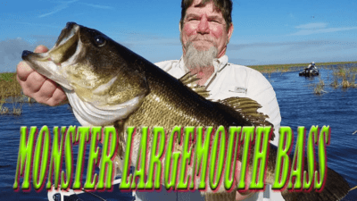 Mike & Mike Fishing Lake Okeechobee For Monster Largemouth Bass