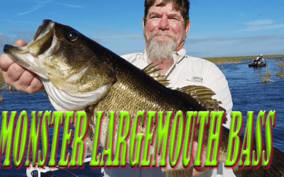 Mike & Mike Fishing Lake Okeechobee For Monster Largemouth Bass