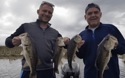 Catching Numbers Lake Okeechobee Largemouth Bass Fishing