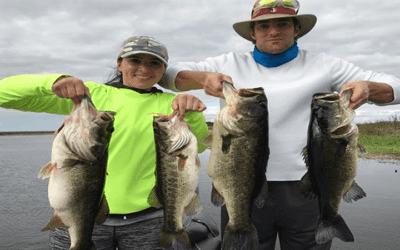 Belle Glade Lake Okeechobee MONSTER Bass Fishing Mid January