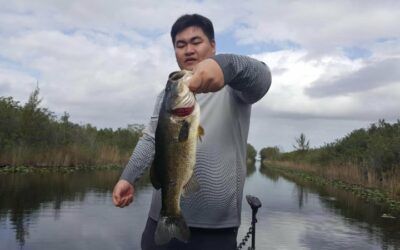 Everglades Largemouth Bass Fishing Action with Capt Tony