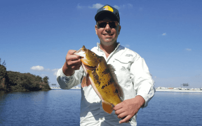 Miami Blue Lagoon Peacock Bass Fishing Excursion with Capt Tony