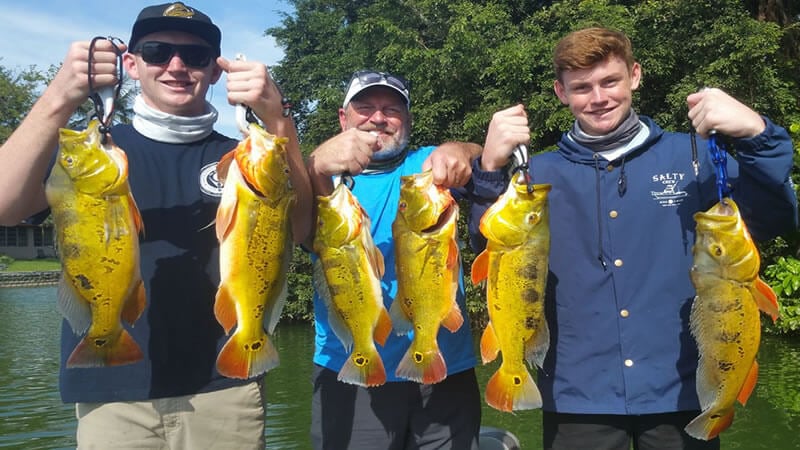 Peacock Bass Fishing In The Blue Lagoon 