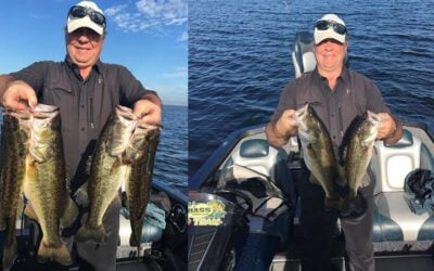 Spinnerbait Fishing for Bass: Tips and Tactics Revealed