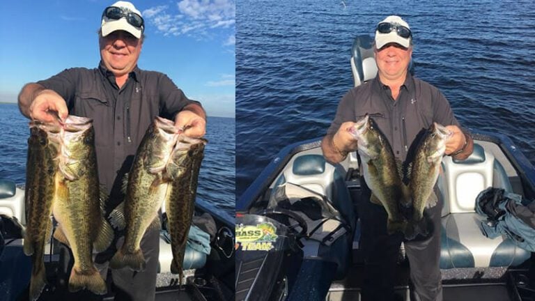 Spinnerbait Fishing for Bass: Tips and Tactics Revealed 14 Catching Bass Using Spinner Baits On The West Side Of The Lake - 7 Top Spinnerbait Fishing for Bass Tips and Tactics Revealed