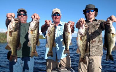 West Side of Lake Okeechobee Today