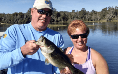 Artificial Largemouth Bass Fishing Rodman Reservoir North Florida