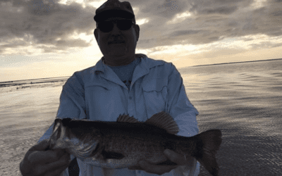 Warmer Temperatures For Largemouth Bass Fishing Lake Okeechobee