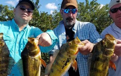 Capt Wayne With The Lake Ida Fishing Report