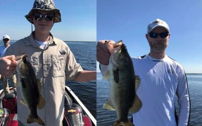 Bass Assassin Soft Plastic Fishing Lake Okeechobee
