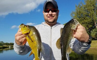 Peacock Bass Fishing Palm Beach County on Lake Ida