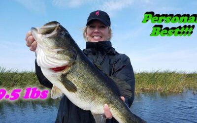 Lake Okeechobee Big Bass Fishing Adventures- Clewiston FL