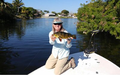 Naples Florida Peacock Bass Fly Fishing Adventure