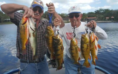 Miami Florida Fishing Peacock Bass Travel Excursion
