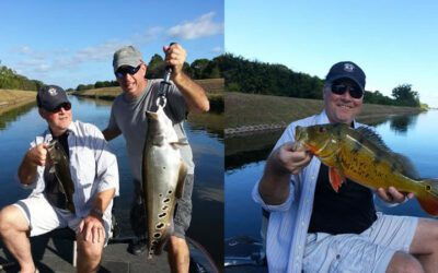 Close Friends Peacock Bass Fish Lake Ida- Palm Beach County