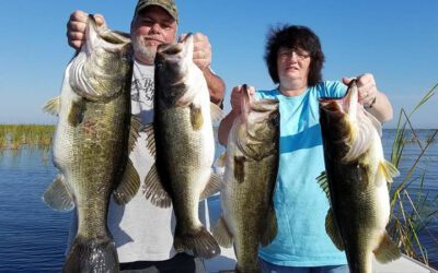 Why You Should Largemouth Bass Fish Lake Okeechobee