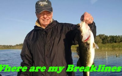 Breakline Polarized Bed Fishing Lake Toho Largemouth Bass