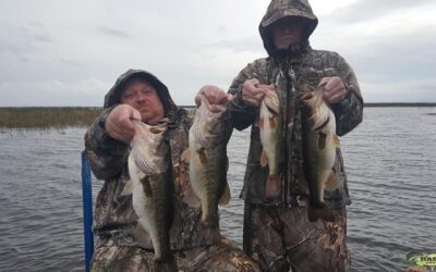 Lake Okeechobee Clewiston Bass Fishing Charter