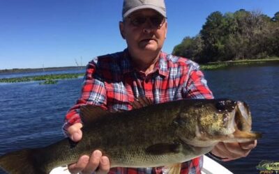 Rodman Reservoir Monster Largemouth Bass Florida Fishing