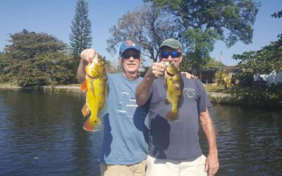 Blue Lagoon Miami Fishing Adventure for Peacock Bass