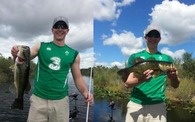 Everglades Artificial Swim Bait Bass Fishing Florida