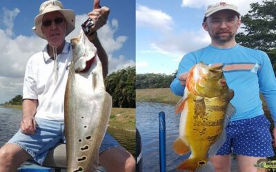 South Florida Fishing Clown Knife Fish- Palm Beach
