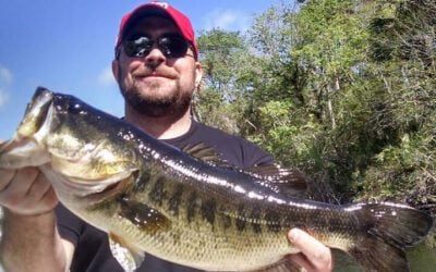 North Florida Saint Johns River Fishing Report- Largemouth Bass