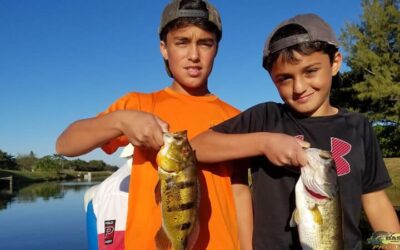 Urban South Florida Peacock Bass Fishing- Lake Ida