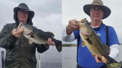Lake Toho Bass Fishing Shiners