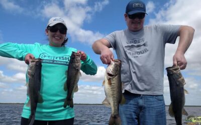 Lake Okeechobee Harney Pond Largemouth Bass Fishing Charter