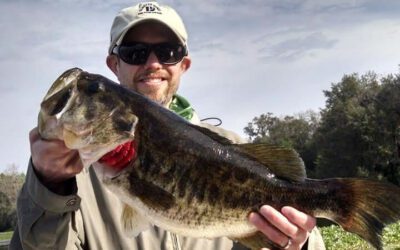 Florida Fishing Rodman Reservoir for Largemouth Bass