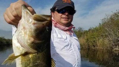 Bass Assassin Artificial Everglades Holiday Park Bass Fishing