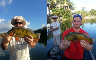 Miami Airport Lakes Fishing Charter- Peacock Bass