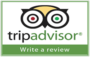 Lake Okeechobee Fishing Guides Reviews