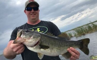 Afternoon South Bay Bass Fishing