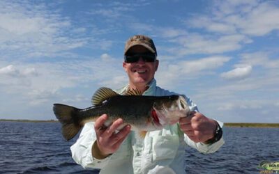 Berkley Soft Plastic Bass Fishing