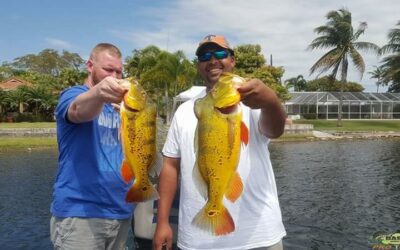 Miami Outdoor Activities