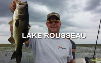 Lake Rousseau
