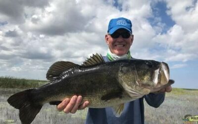 Artificial Monster Largemouth Bass Fishing Charter