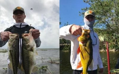 South Florida Multi-Species Bass Fishing Charters