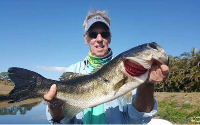 Multi-Species Bass Fishing