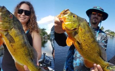 Palm Beach Outdoor Activities
