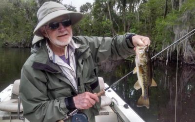 Fly Fishing River Bass