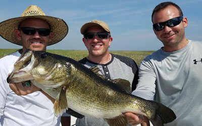 Florida Big Bass Fishing Lake Okeechobee