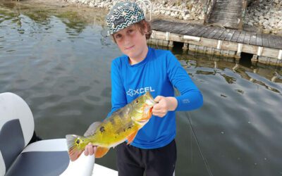 Golden Gate Peacock Bass Fishing