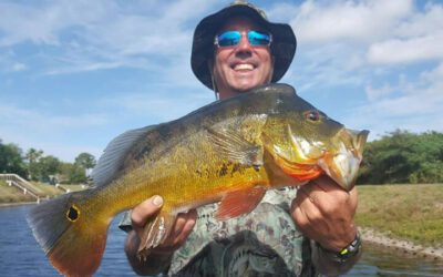 Excellent Day Bass Fishing